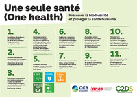 Le C2DS publie une campagne d’engagement « Une seule santé » Image 1