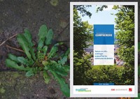 Un guide pour aider les collectivités à redonner ses droits ... Image 1