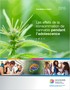 Les effets de la consommation de cannabis pendant l’adolescence