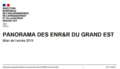 Webinaire de présentation du panorama des énergies renouvelables et de récupération – Bilan de l’année 2019